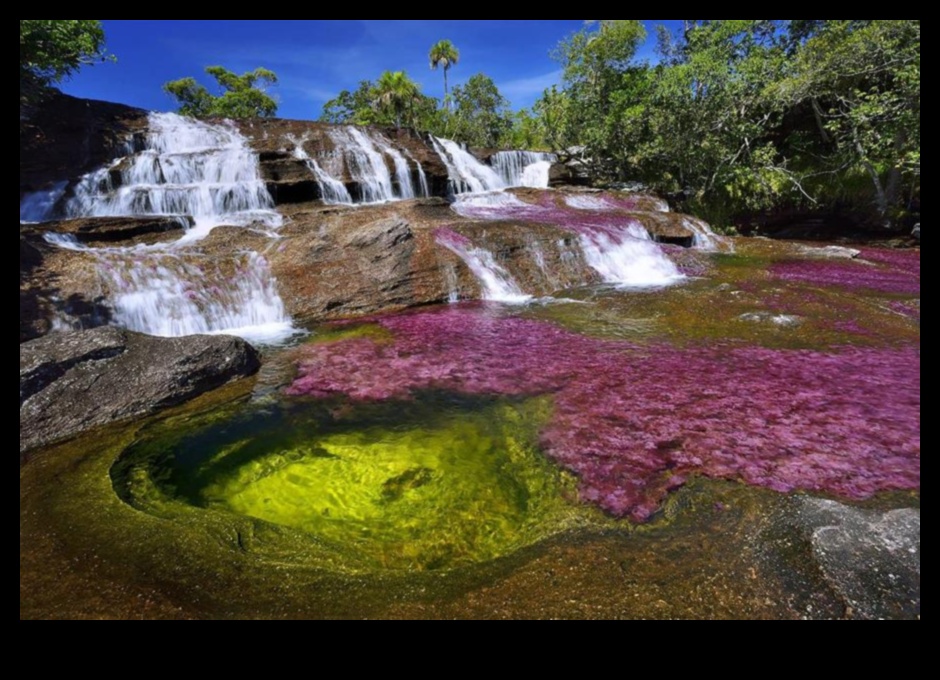 Liquid Rainbow A Tour of the Colors of the Juice Spectrum 2 Liquid Rainbow: Εξερευνώντας ένα φάσμα χρωμάτων σε μείγματα φρέσκων χυμών