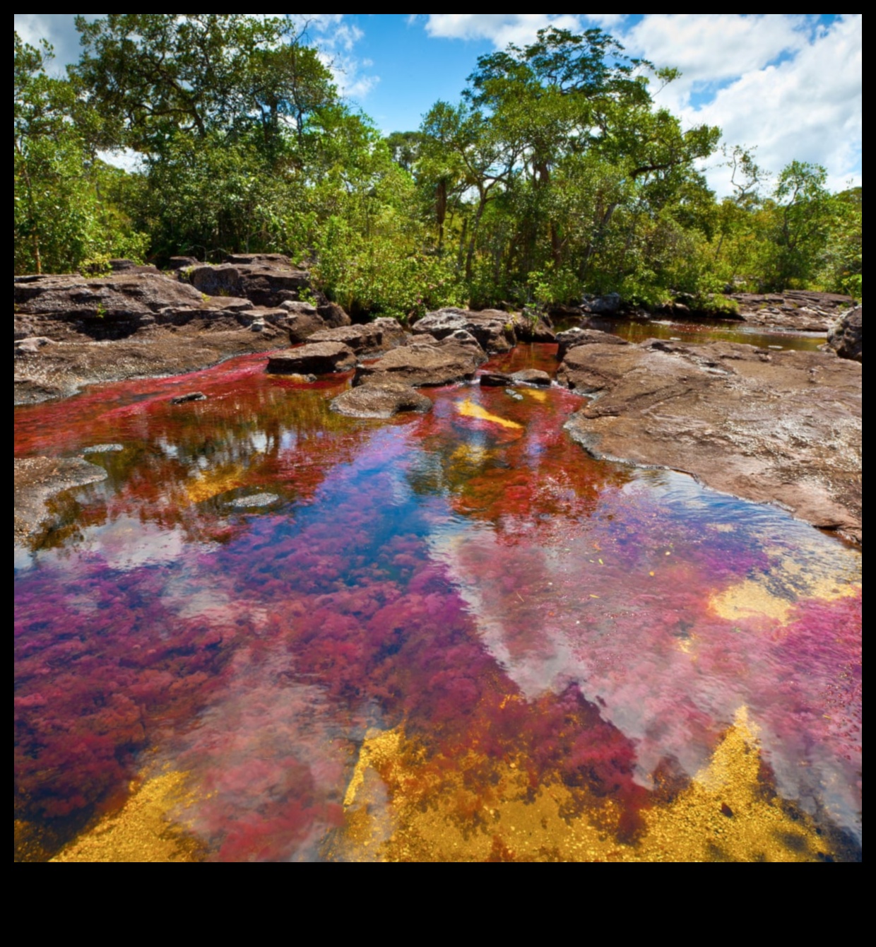 Liquid Rainbow A Tour of the Colors of the Juice Spectrum 3 Liquid Rainbow: Εξερευνώντας ένα φάσμα χρωμάτων σε μείγματα φρέσκων χυμών