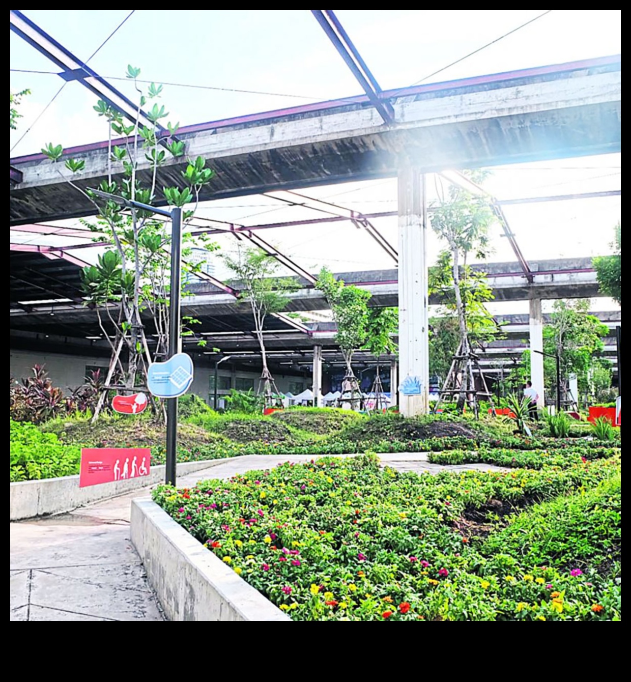 Garden in the Concrete Jungle: Urban Oasis Ideas