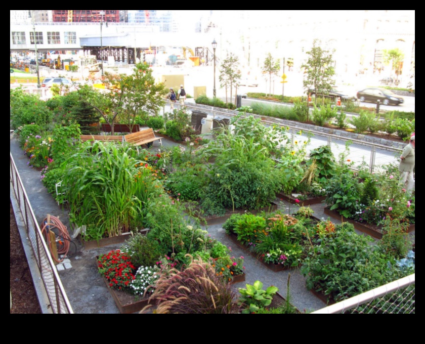 Greening Up the City: Urban Gardening Adventures