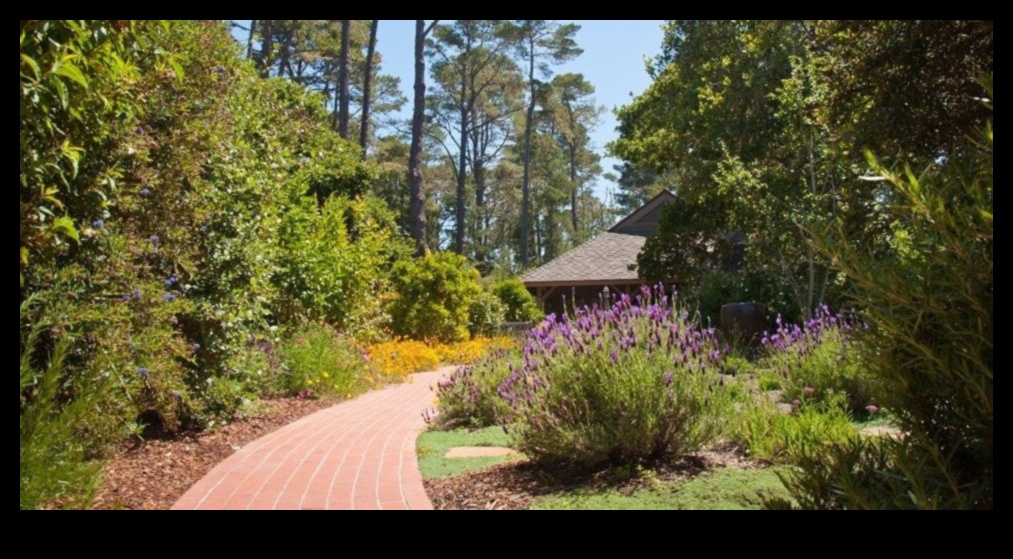 Artistic Flair: Ανυψώστε τον κήπο σας με μαγευτικές δημιουργίες