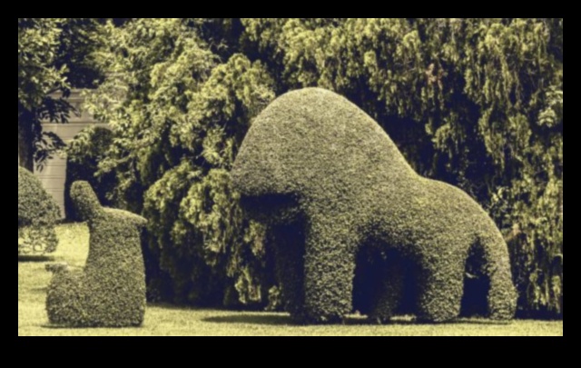 Artistic Flair: Ανυψώστε τον κήπο σας με μαγευτικές δημιουργίες