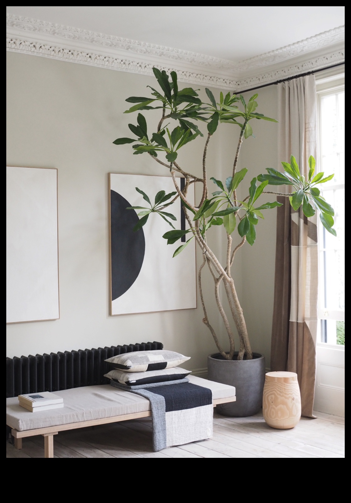 Greenery Glam: Stylish Accents for a Garden Wonderland