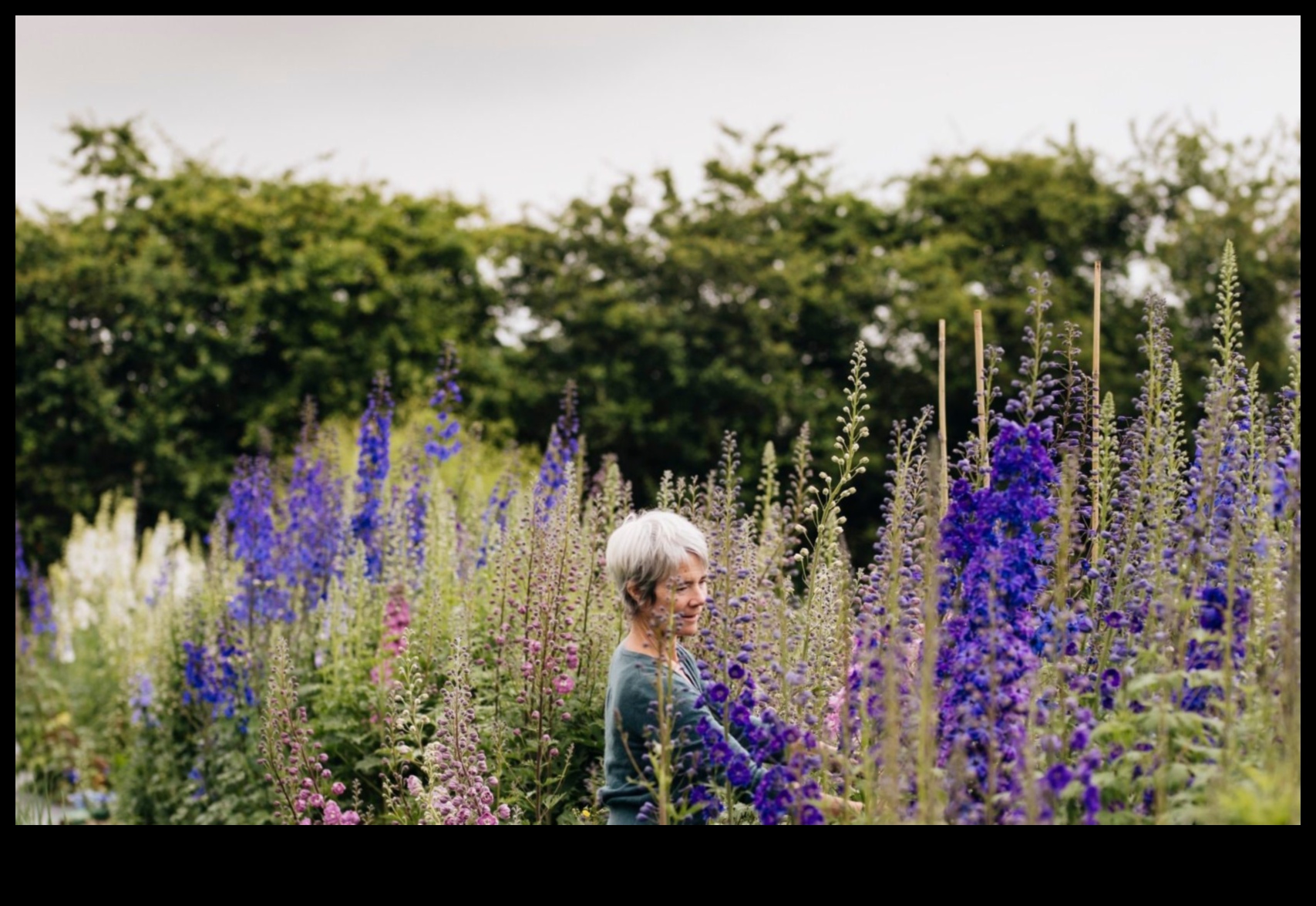Floral Flourish The Science of Growing Beautiful Gardens 5 Floral Flourish: The Science Behind Effective Garden Care