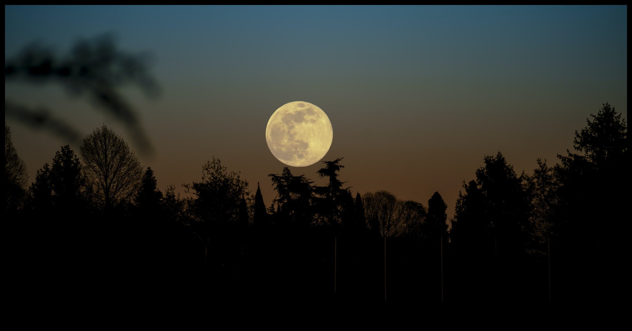 Mystical Moonlight: Mastering Techniques for Capturing the Moon in All Its Glory