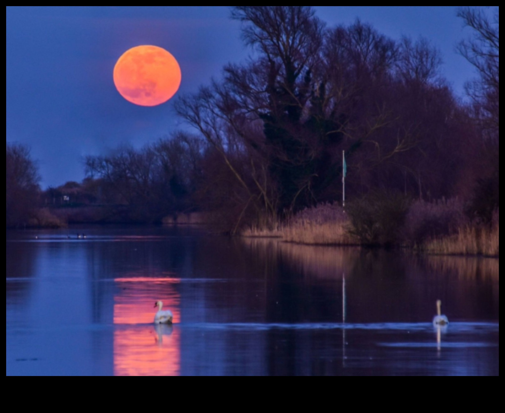 Mystical Moonlight: Mastering Techniques for Capturing the Moon in All Its Glory