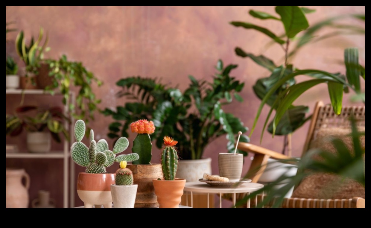 Potted Paradise: Indoor Gardening Idees for Every Space