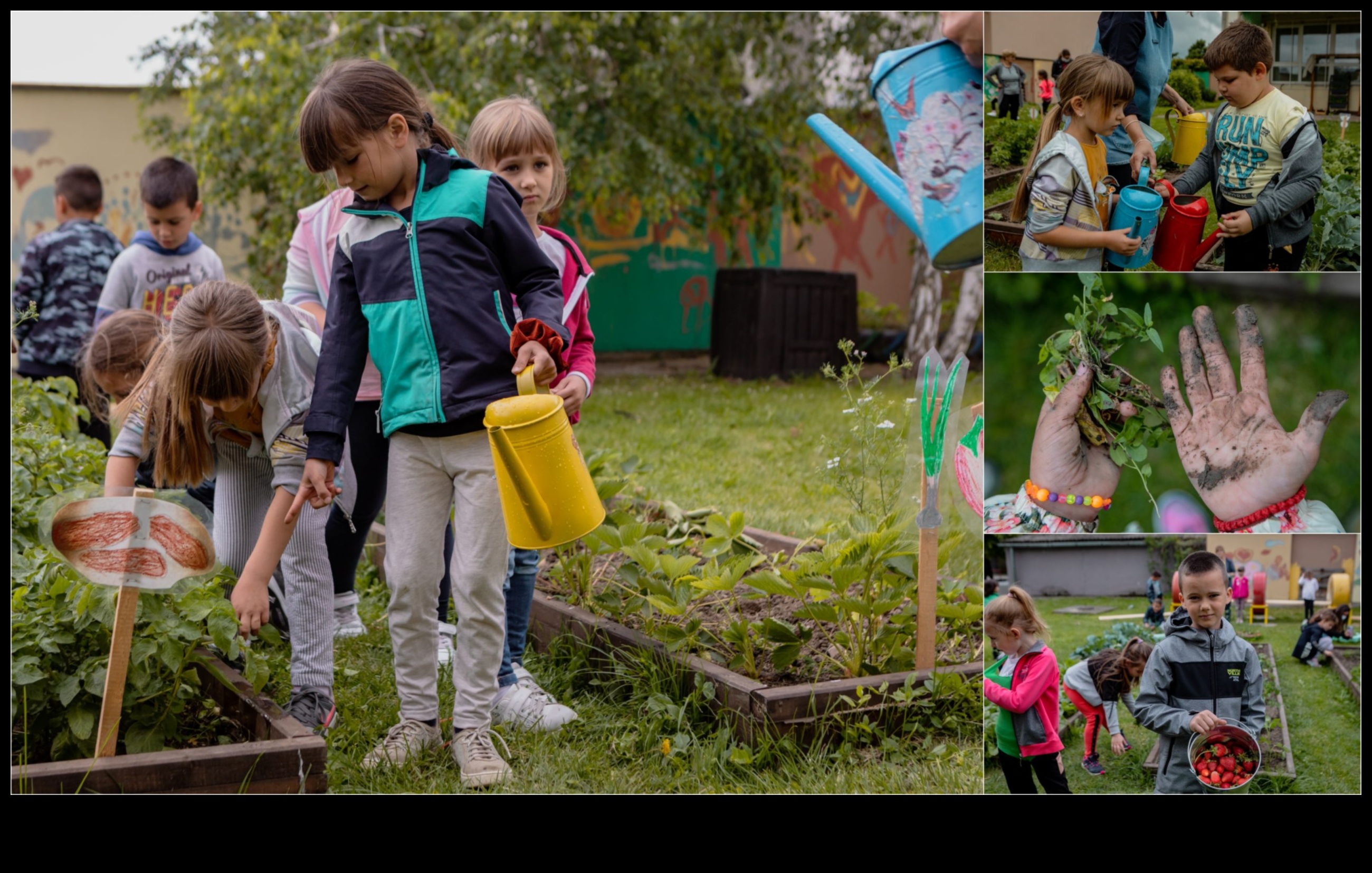 Budding Scholars: Growing Minds μέσω της εκπαίδευσης στον κήπο