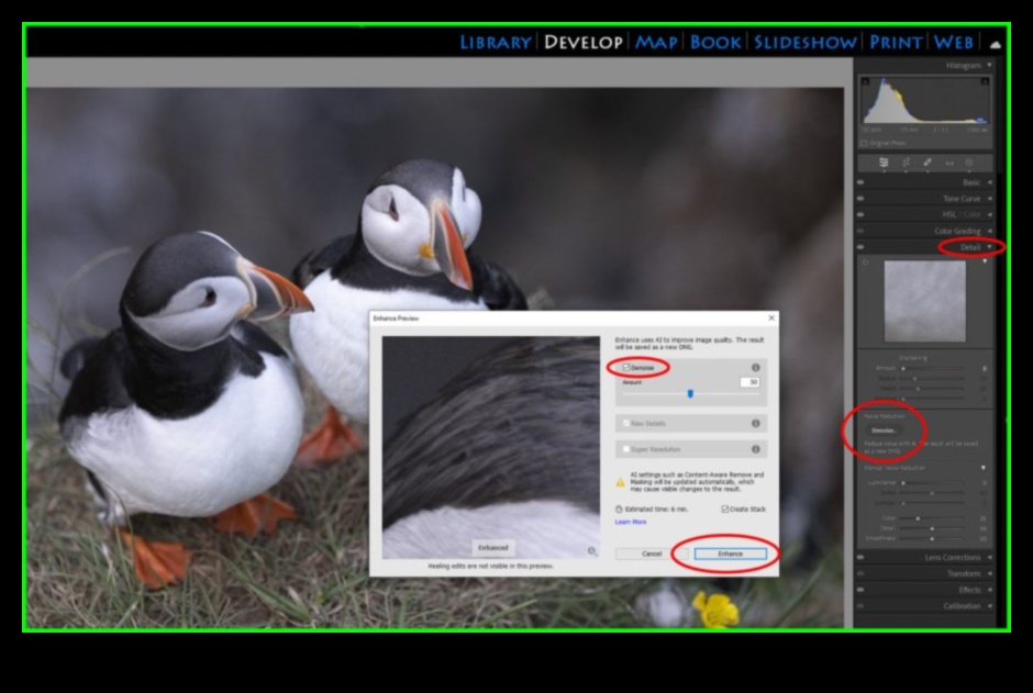 Editing Excellence Κατακτήστε την τέχνη της μετα-επεξεργασίας με αυτά τα προηγμένα σεμινάρια 4 Editing Excellence: Advanced Post-Processing Tutorials