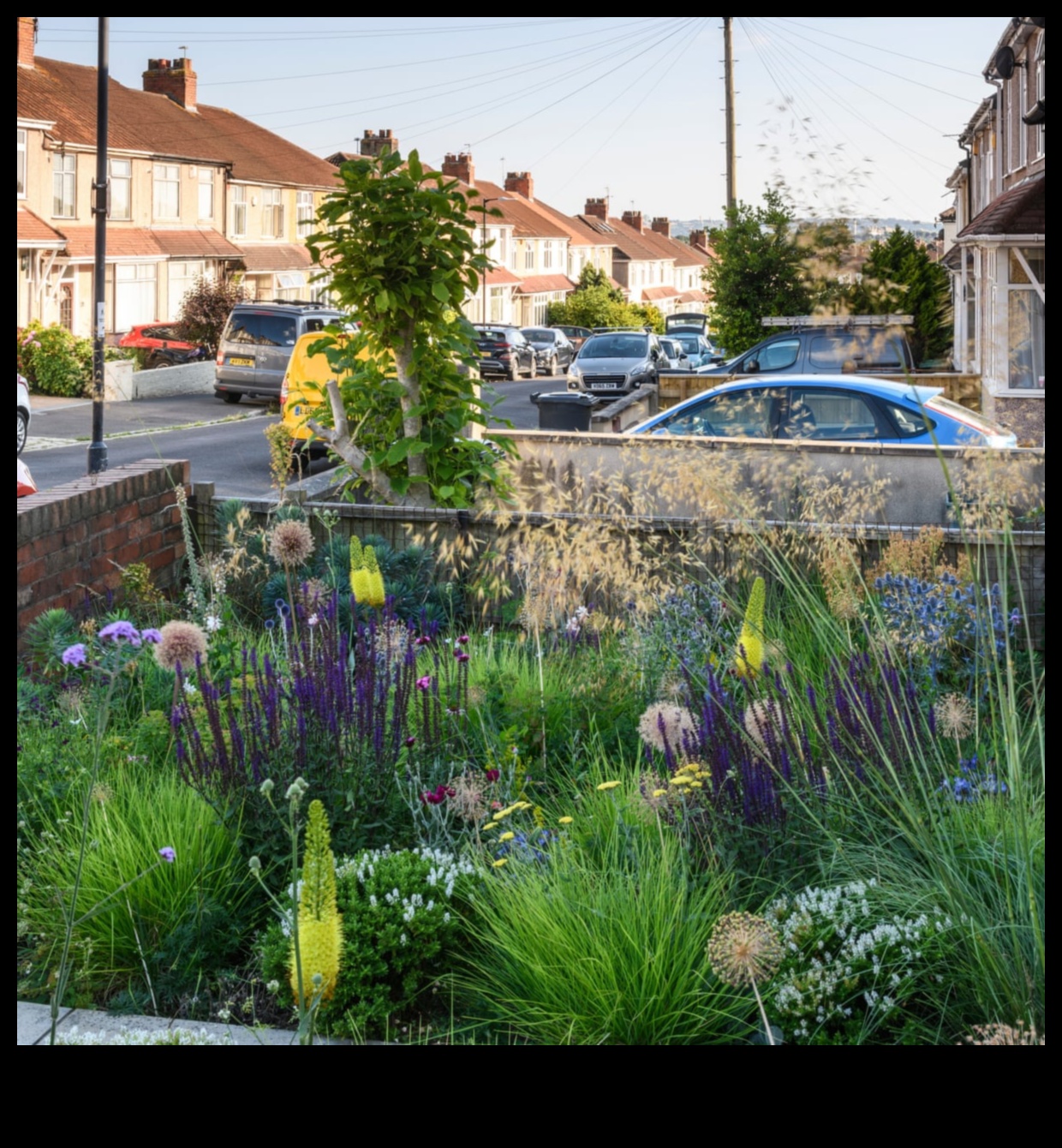 Guardians of Greenery: Strategies for a Pest Resistant Garden