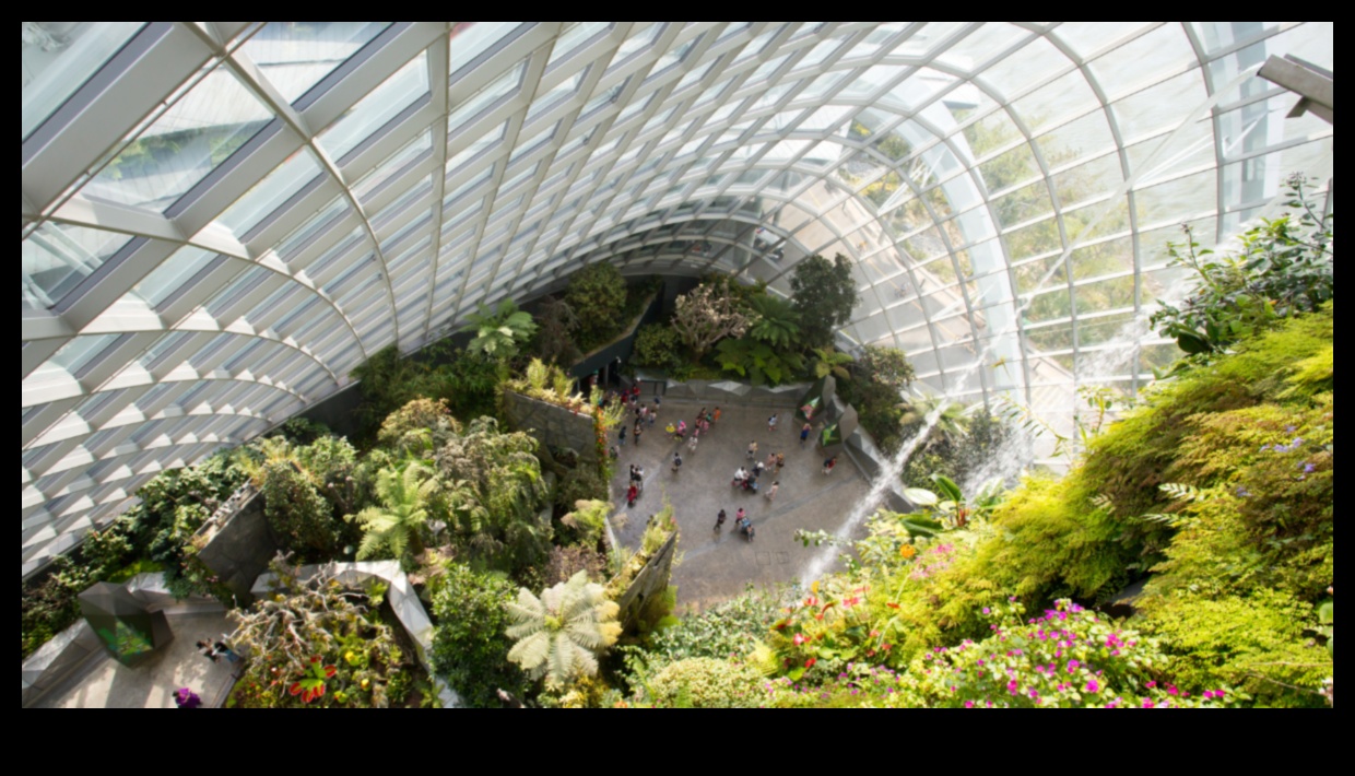 Floral Fantasy: Dive into Our Greenhouse Magic