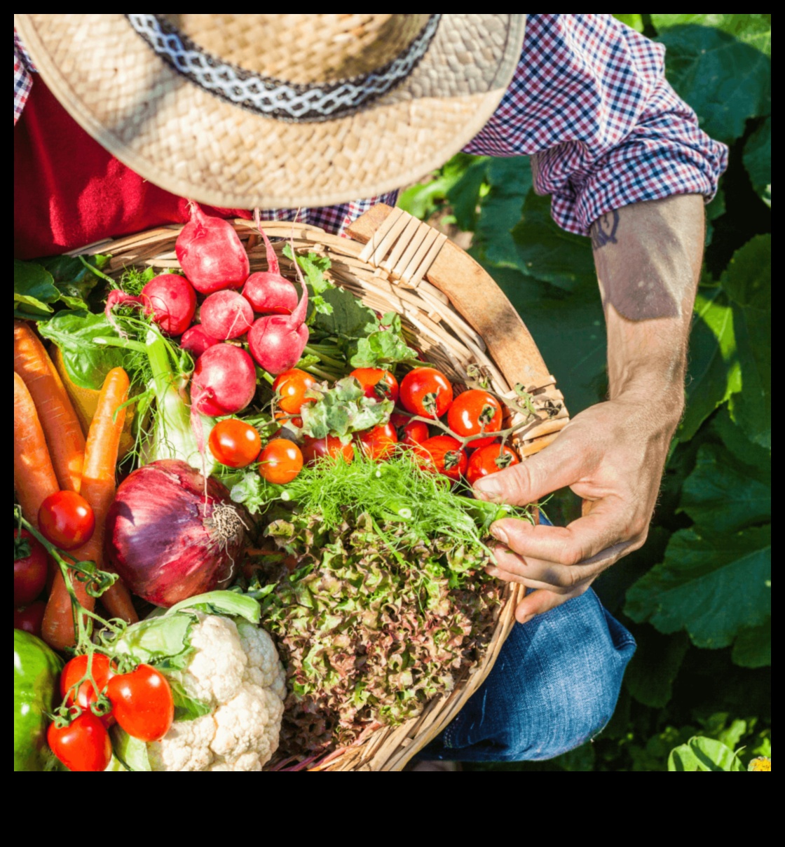 Infinite Harvest: Greenhouse Garden Secrets