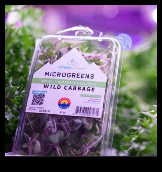 Infinite Harvest: Greenhouse Garden Secrets