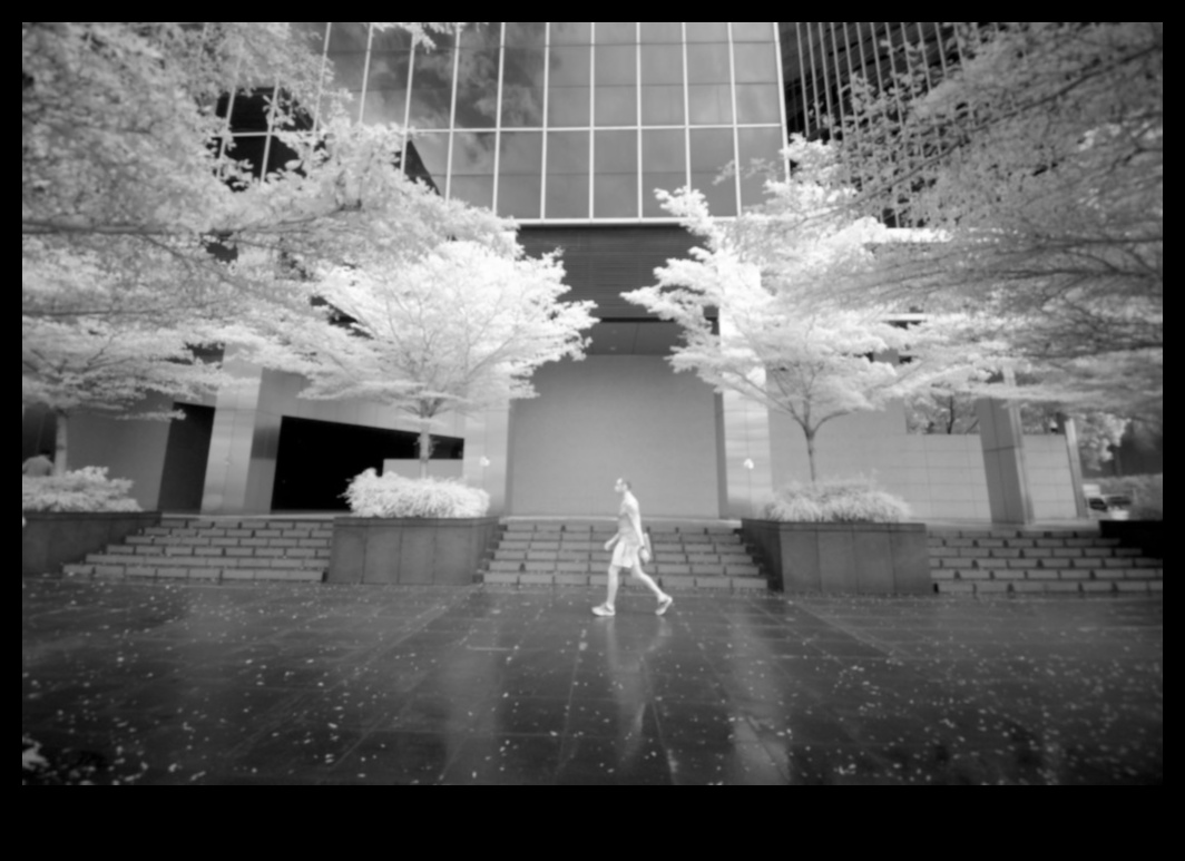 Infrared Insights Ένα ταξίδι στον κόσμο της αντισυμβατικής φωτογραφίας 5 Infrared Insights: Εξερευνώντας την τέχνη της αντισυμβατικής φωτογραφίας