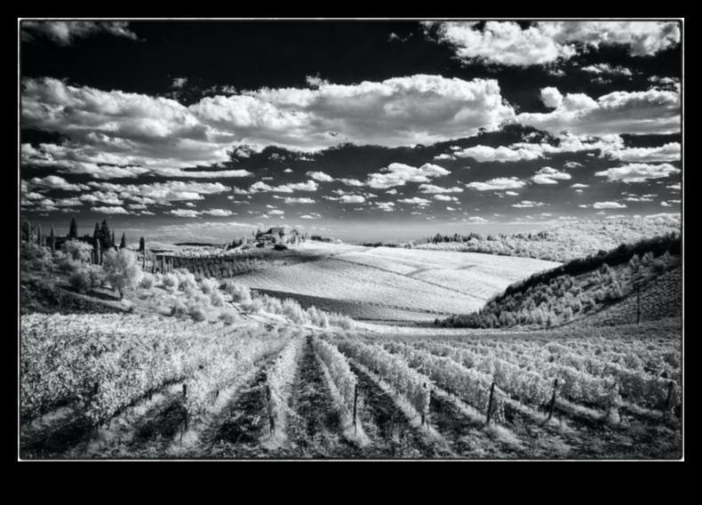 Infrared Insights Ένα ταξίδι στον κόσμο της αντισυμβατικής φωτογραφίας 4 Infrared Insights: Εξερευνώντας την τέχνη της αντισυμβατικής φωτογραφίας