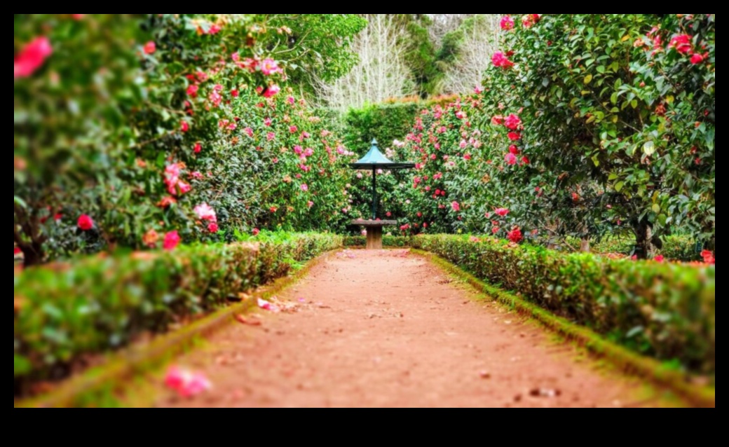 Οι ακμάζοντες κήποι γαλουχήστε το υπαίθριό σας καταφύγιο με αυτές τις 5 συμβουλές 2 Ακμάζοντες Κήποι: Φροντίζοντας το Υπαίθριο Καταφύγιό σας