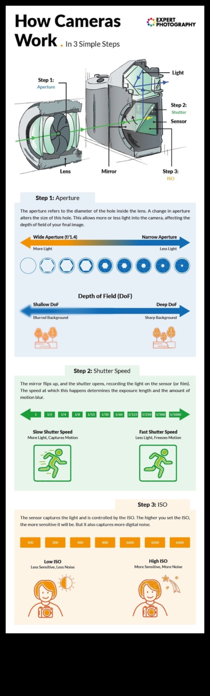Snapshot Success Μάθετε τα βασικά στοιχεία της φωτογραφίας με τα σεμινάρια μας για αρχάριους 2 Snapshot Success: Essential Photography Tutorials για αρχάριους