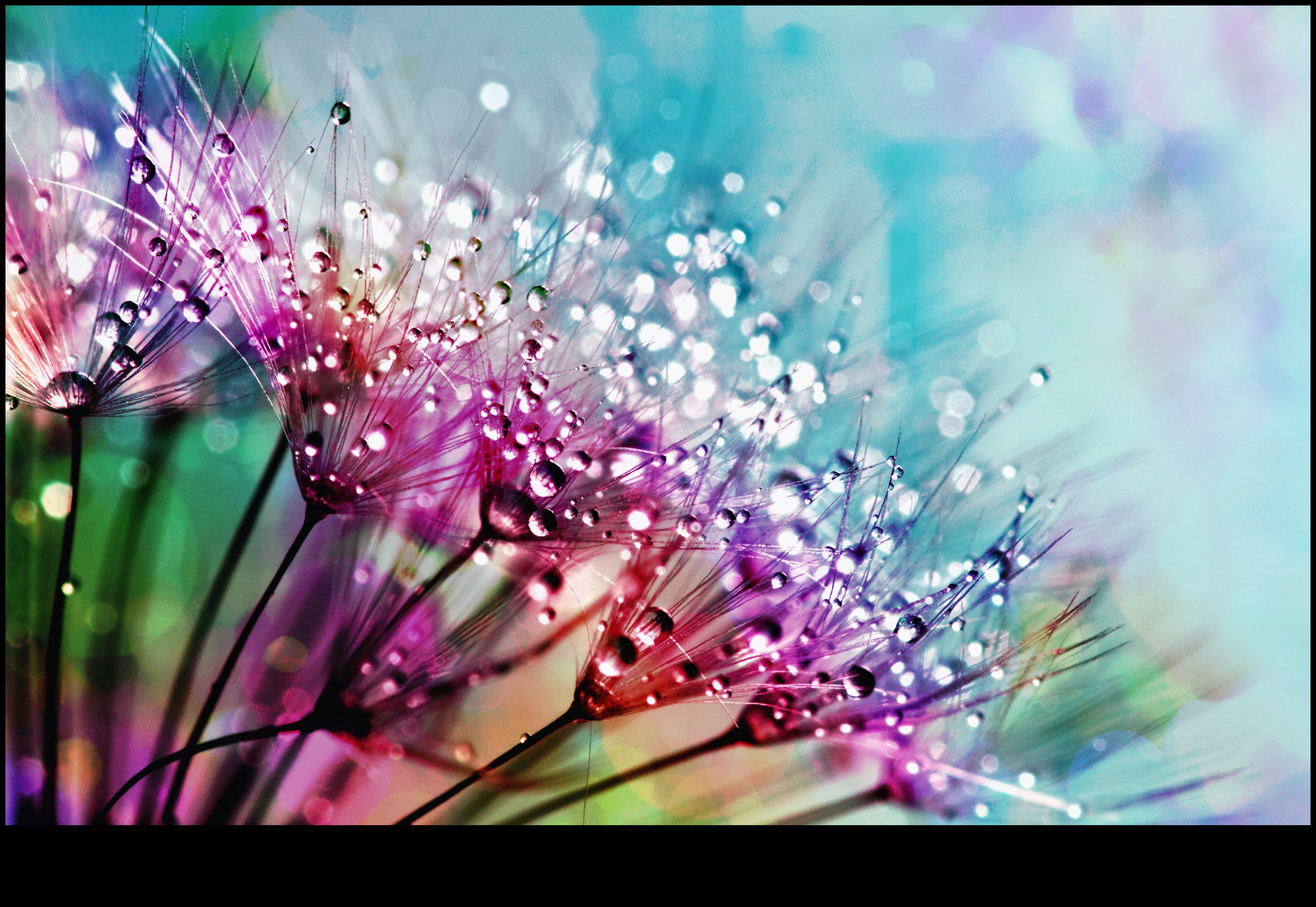 Περίπλοκος φωτισμός: Κατακτήστε την τέχνη του φωτός με στυλ μακρο φωτογραφίας