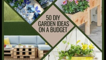 Blooms on a Budget: Εμπνευσμένα και οικονομικά προσιτά DIY στον κήπο