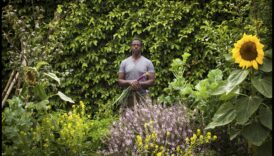 Blossoms in the Boroughs: Urban Gardening Marvels