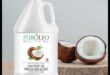 Coconut Symphony: Reveling in the Harmonious Blend of Hydration Elixirs