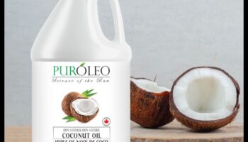 Coconut Symphony: Reveling in the Harmonious Blend of Hydration Elixirs