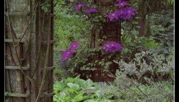 Garden Gems: Ξεκλείδωμα των μυστικών της ειδικής φροντίδας