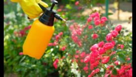 Guardians of Greenery: Strategies for a Pest Resistant Garden