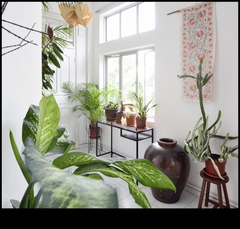 Potted Paradise: Indoor Gardening Idees for Every Space