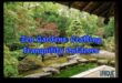 Sculpted Silence: Japanese Garden Tranquility