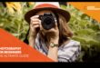 Snapshot Success: Essential Photography Tutorials για αρχάριους