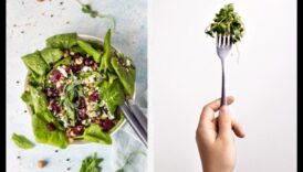 Infinite Harvest: Greenhouse Garden Secrets