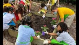 Budding Scholars: Growing Minds μέσω της εκπαίδευσης στον κήπο