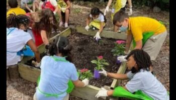 Budding Scholars: Growing Minds μέσω της εκπαίδευσης στον κήπο