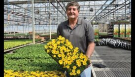 Καλλιεργήστε τη χαρά: Ανακαλύψτε τη μαγεία της κηπουρικής στο θερμοκήπιο