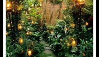 Μαγευτική ύπαιθρος: Ανακαλύψτε τη μαγεία της διακόσμησης κήπου