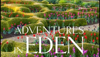 Eden Revealed: Garden Design Dreams Blossoming