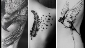 Feathers and Fables: Chronicles in Bird Tattoos