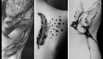 Feathers and Fables: Chronicles in Bird Tattoos