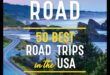 Road Trip Revelry: Capturing Adventures on the Go