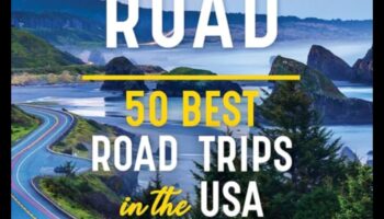 Road Trip Revelry: Capturing Adventures on the Go